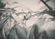 2019-05-26/d0170875f80ce27d181d2bc5e134ec6f_082069e4b4edd3f0d349c269ef532cb0