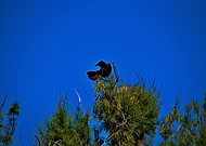 2019-05-26/ef00600ca9dcb8e66a08b9a007f29627_54240d86fc1d4afc7467b98757a43f39