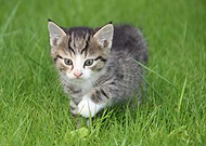 2019-05-27/07699d69939e74e8263d8f72d1cdd630_72ecc1d1a20c1e195cd2d5a2ac9b0f06