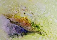 2019-05-27/18434b267ce83b0bb42f6f70b8a151be_d685ae248a2aa5792c34d936149e5bad