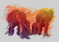 2019-05-27/221ea9ea4c3e74e14a3c116b8c120b28_f29dbc68a5d0424a36a61d046621a73d