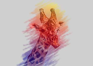 2019-05-27/c3fa64c811ee09d9d1361f794160e344_873d11a8ef4233d301f14918f98b0c61