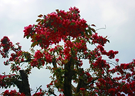 2019-05-27/e719ef701f414eed14bda648a611f739_84152c55ca3fd33cd8a7497992a5b65f