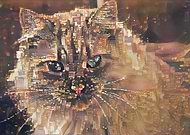 2019-05-28/306bd5880d2d10c3039fe74faee7ffe7_7b6baf1827d1b67381b4fb7a57fad591