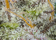 2019-05-28/4beb75cebd50e5632984125bf19e3449_39c580ddae96e4c45167015224f54b40