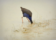 2019-05-28/525ca7b245116b0b6b3c5d772bf7724e_d963527723bdb6e28be6265238d5439f