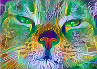 2019-05-28/a653d80f36140772b25291e06a28f7c8_d49e98319af705e9ebf4ee3e2b6c702b