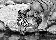 2019-05-29/0b0ca912f90bd5915e480dce766eec54_125e9d9d13d93b788db3b43e9c583f1c