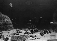 2019-05-29/26777fbdd95e08e86018d892932915ef_ac80830c136ba2199eff8514309e4da6