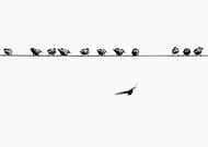 2019-05-29/5217ef5aee2aebd8d6b3320a14eb407d_7619cdd9d4ee40339eec3578a3321bdf