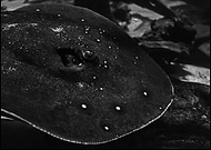 2019-05-29/a7c496f4b9d58d779859dbc533628b72_4f3e524e2ee52e0eb40a43a6815a5a18