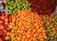 2019-05-30/13a908f2631ef298759250736d8cbc77_35291b999d28eb350cfd0a49422dca6f