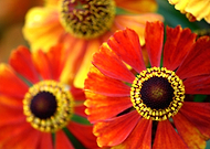 2019-05-30/2b4dddf7ff03ebdf7a17b9dc143a29c8_ed6ce806d65fabe264a0562890878cce