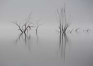 2019-05-30/3fd5aa86d7e349d6710f81904b676442_93428bdd18fbc61dc84687fe6817b244