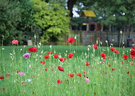 2019-05-30/5e2d88f5e68e3bfce7540e27365d7515_4dc7561609a40563a155f967790cf04e