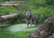 2019-05-30/aa318db0ac5deca53ab5f286b6f9e109_e84c86d6b9a98135d950cabda8721576