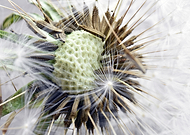 2019-05-30/b006e26bf2af531f566494111117df87_c47c1a9cfb74e51dba99a48c1b53145d