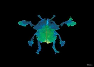 2019-05-30/b5db0b0967261b3465edddb22a834123_f26d9d9f819a27eaed4de199918c6cbe