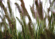 2019-05-30/ce47a991c744dfb1a09698e3ded50e1a_d883c997f7f9f7e1ccc588c0f7bb7ff4