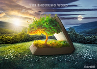 2019-05-30/d5e89f17a890aa6072bc439f5576bb24_1bed593d3376b7281e7dca9572b0b8a5