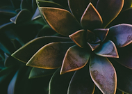 2019-05-30/eac152a727fe985d9b372511fcf536fc_6ef8f522458ea2064b08f32b0c9af350