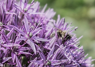 2019-05-31/b543390e4467d20332ecbaad55d52d98_b8fafa11708c9f88e99c8d2b4d8de392