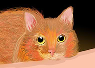 2019-06-01/1b10e0f44c3ed72cfbf361274a6eb369_b9cffaab2e9949860f2c89502c889dbb