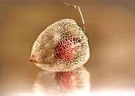 2019-06-01/a253741bde169dde9d65fbd87c5b0f11_ca987ffb7a7abd6db01340add0da53b8