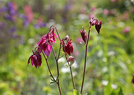 2019-06-01/c09e1519064b3282292a6635451788f4_e0aa6a10ea0af8f883592196627883be