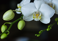 2019-06-02/2cc30b8e64fe51ba2aca560065a98c68_7cfdfc24168f445f6ff8358d9ed61185