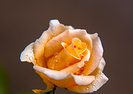 2019-06-02/85b575cc17f97e6e921893b3503d3cf6_dbda2c15989eb15991426a5ca9b92758