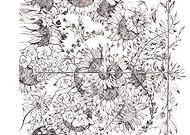 2019-06-02/e5bcb9c2320fde0bc91d5ff0e28410e0_4ff2f0551531c0dd8e117b2f03942f46