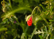 2019-06-02/fe4f226a24c2c32d6da4d081da99ed84_b8e89ea7f221a44f324b1ccb977056e5