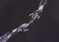 2019-06-02/fe6b41cc28043da06b05f9aeb96ff03d_6842678f05c5355feeab86e24a887992