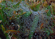 2019-06-03/1bd7a2ffb8a2fc7d9685b3ca5297227e_01cf063ba5c8ca27010b986c34ddff28