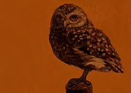 2019-06-03/60c5d150f60849c4884fd7d7753633a1_648af2ab2679445cf4afd014e890334e