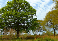 2019-06-03/69032d97b08fe7776486477b47be45f0_5cb3689d1c69e0d00c6e760177c849d9