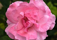 2019-06-03/6cf557e7781b225af76b8b5ea353086c_e0265d8e5a633d916ac9b5347c22914e