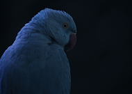 2019-06-03/bef3f624f9dd9c9ad226a189b132552b_0e2b8a0cab18127e6c42270647717f84