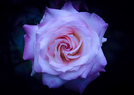 2019-06-03/c71a6a62f374f3ef41583ffcaa0a8f12_c78c636c1a4cb43121a905e5d31335e4