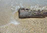 2019-06-04/08e6e88088e74b17717deeafe6f0405b_0a5f278ba2c80c86b30a317890b154d0