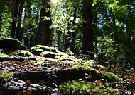 2019-06-04/8fa3742a7971e36d439beb6152f4d208_000052de7e3858dfa81904c7e81ea6d5