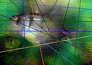 2019-06-04/cefdccb540f8094353e7aef29ce40794_61ca75c3ca37c5e6a873f28daa43756e