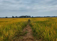 2019-06-06/1668d008211ff925b31e88d7743fa75b_e63bbaaf3eb73842328bfd4ff24a8b6f