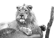 2019-06-06/23d4082ec193adb11147a079e3fed799_1850c6d117ea4262c0efb69766be48af