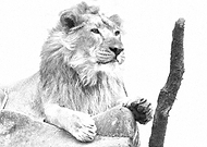 2019-06-06/2ecc3713180960f406045d578687b681_fc89c6058ae73e7115e3c64e41c28137