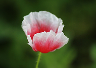 2019-06-06/f5a0e50dbd8ed817210843cdfbd3aee8_544c4eafdc2f15396304779e66632501