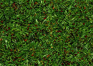 2019-06-08/3615f09afff5ab5f7e1038b2d1df11be_20f0ea38c9cefa5dd614d29f08b8d026