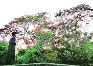 2019-06-08/364033fd98614a0dd21f2240d93d1c72_e33f9e54ba9eec8329bc3067c484143c