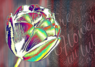 2019-06-08/9ff04f15fc8306c37a007c970dd83af3_2b652323b7834c481d92c8d56bd00e1e